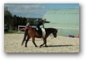  » Klick zum vergrössern ->